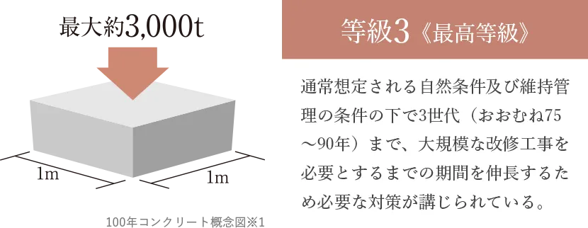 100年コンクリート概念図