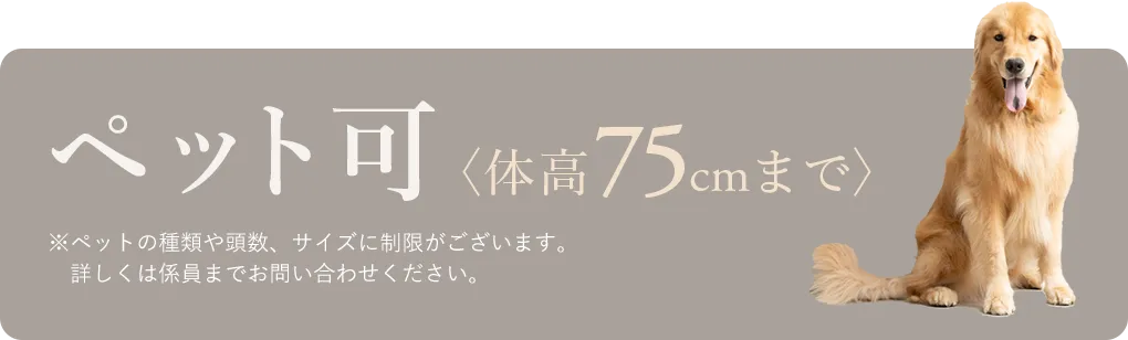 ペット可 体高75cmまで