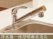 净水器一体型喷淋水龙头
