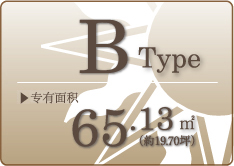 Bｔｙｐｅ