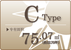 Cｔｙｐｅ