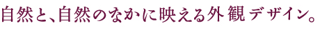 まるで翼を広げたような幅16m以上のエントランス。