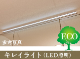 キレイライト