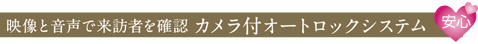 映像と音声で来訪者を確認