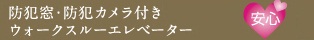 防犯窓・防犯カメラ付きウォークスルーエレベーター