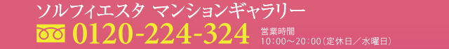 ソルフィエスタ亀戸モデルルーム　江東区亀戸2-18-1　中村ビル1F　0120-224-324　営業時間10：00～20：00（定休日／水曜日）