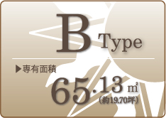 Bｔｙｐｅ