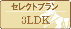 セレクトプラン
