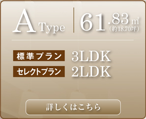 Atype